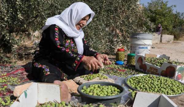 المفتي العام يدعو المزارعين لإخراج زكاة ...